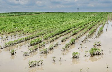 Έβρος: Το αποτύπωμα των πλημμυρών – ζημιές, καθυστερήσεις, αλλαγές στις καλλιέργειες και έξαρση ασθενειών