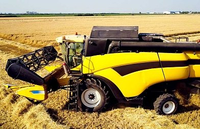 Ουκρανικά σιτηρά: Ολοκληρώθηκε η συγκομιδή που κυμαίνεται η φετινή παραγωγή και οι εξαγωγές