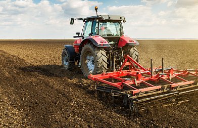 Καλαμπόκι: Τι περιλαμβάνει η προετοιμασία αγρών πριν τη σπορά