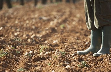 Η τοξικότητα των φυτοφαρμάκων και το “αόρατο” έδαφος: Τι συμβαίνει στους μικροοργανισμούς;