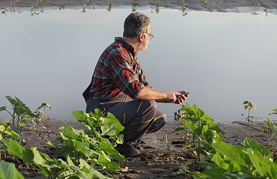 Κατά εξαίρεση ασφαλιστική ικανότητα σε πληγέντες αγρότες και κτηνοτρόφους από φυσικές καταστροφές, τι ισχύει για εργάτες γης