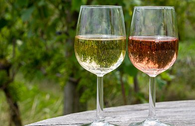 Δέσμη μέτρων για τον οίνο από τους Ευρωβουλευτές, τι αλλαγές προτείνουν