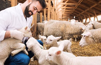 Αποζημιώσεις στο γάλα ανακοίνωσε το ΥπΑΑΤ για αφθώδη πυρετό, δεύτερο κρούσμα στην Λέσβο