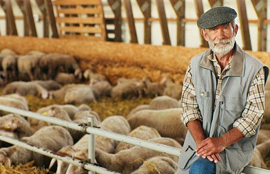 8 νέα κρούσματα αφθώδους πυρετού σε εκτροφές στη Λέσβο, άμεση θανάτωση όλων των ζώων στις μολυσμένες εκτροφές