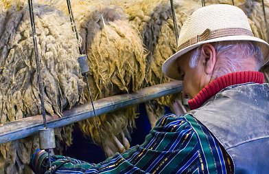 Τσιάρας για αφθώδη πυρετό στην Λέσβο: Από 15 Μαρτίου έως να αρθούν τα μέτρα θα αποζημιώνεται το γάλα