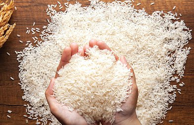 Συνδεδεμένη ρυζιού: Αλλαγή στην παραδοτέα ποσότητα και παρατείνεται η προθεσμία παράδοσης