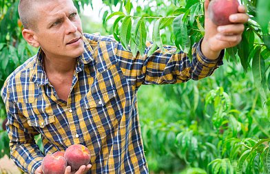 Οι σύλλογοι της Ημαθίας αποφάσισαν κινητοποίηση στον ΕΛΓΑ στη Βέροια και συμμετοχή στην σύσκεψη της Νίκαιας