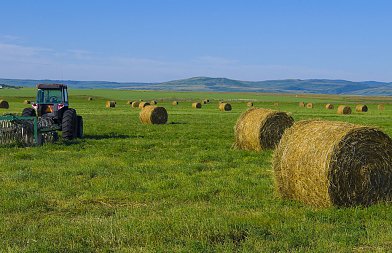 Σύσταση επιστημονικής επιτροπής για ευλογιά ανακοίνωσε ο Τσιάρας, για τις ζωοτροφές θα καταβληθούν 46 εκ. ευρώ