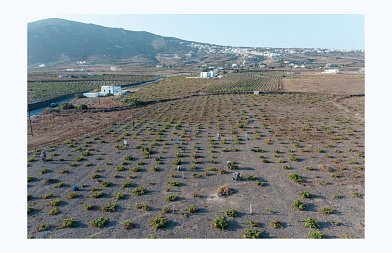 Η ΚΥΡ-ΓΙΑΝΝΗ εξαγοράζει το Κτήμα Σιγάλα