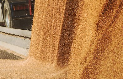 Διαγωνισμοί σιταριού: Τιμές που αγόρασε 200 χιλιάδες τόνους η Τυνησία και 907 χιλιάδες τόνους η Σαουδική Αραβία