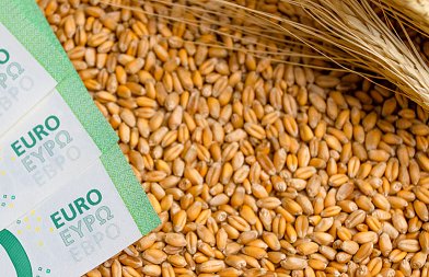 Στο ΦΕΚ οι συνδεδεμένες ενισχύσεις σε μαλακό, σκληρό και κριθάρι, ακολουθούν οι πληρωμές από ΑΑΔΕ