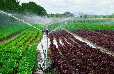 Πριν αρχίσουν τα ποτίσματα: Τι πρέπει να κάνεις ώστε το αρδευτικό δίκτυο να λειτουργεί σωστά