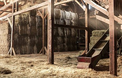 Κτηνοτρόφος έβαλε τέλος στη ζωή του επειδή του θανάτωσαν τα πρόβατα λόγω ευλογιάς