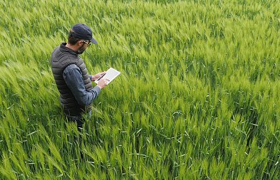 Κόπηκαν παραγωγοί λόγω monitoring και ATAK σε ενοικιαζόμενα αγροτεμάχια, θα βρεθεί λύση λέει η κυβέρνηση