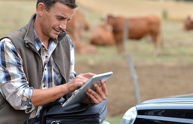 Μείωση επιλέξιμων αγροτεμαχίων, τιμολόγια ζητά η ΑΑΔΕ από κτηνοτρόφους, δεν έγιναν ενδικοφανείς προσφυγές στα προγράμματα ΠΑΑ
