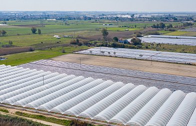 Ταχύρρυθμο Σεμινάριο για Τεχνικούς Θερμοκηπίων από ΕΛΓΟ - ΔΗΜΗΤΡΑ