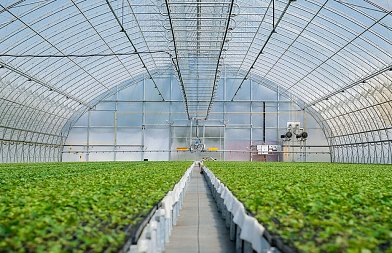 Αίτημα παράτασης αιτήσεων για Παρέμβαση Π3-73-2.9 επενδύσεις σε θερμοκήπια και στέγαστρα φυτικής παραγωγής