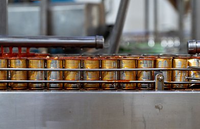 Μειωμένα φέτος τα στρέμματα βιομηχανικής τομάτας, πως εξελίσσεται η καλλιέργεια, κίνδυνος από χαλαζοπτώσεις