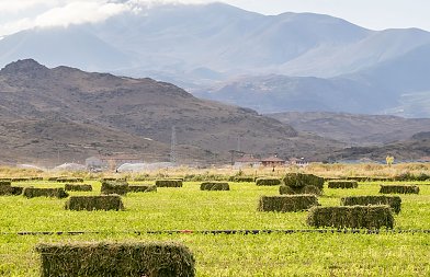 Πότε θα χορηγηθούν de minimis μηδικής, πότε ολοκληρώνεται αξιολόγηση Νέων Αγροτών και θα γίνουν πληρωμές
