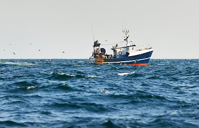 Σχολή Αλιείας: Ένα από τα κύρια αιτήματα των Ελλήνων ψαράδων