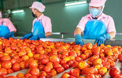 Η Damavand υπερδιπλασιάζει την παραγωγική της δυνατότητα με επενδύσεις άνω των 6 εκατ. ευρώ