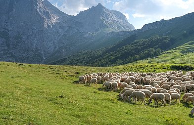 Πρόβλημα με τα ονόματα των δικαιούχων της Εξισωτικής, οι παραγωγοί έβλεπαν τα περσινά αποτελέσματα, διορθώθηκε λέει το ΥπΑΑΤ