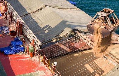 Τιμή που αγόρασε η Αλγερία 690.000 τόνους σιταριού και η Ιορδανία 50.000 τόνους κριθαριού