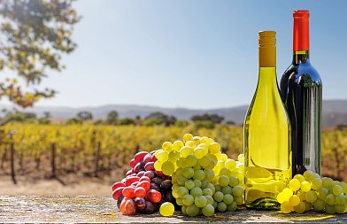 Στην ΚΑΠ 2023-2027 μεταφέρονται οι επενδύσεις μεταποίησης αγροτικών προϊόντων συνολικού ύψους 78,9 εκατ. ευρώ