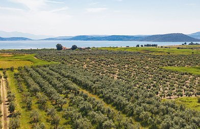 Λύση για αγροτεμάχια με προβλήματα ιδιοκτησίας, έχει αναδρομική ισχύ και αφορά χιλιάδες αγρότες σε Θεσσαλία και Μακεδονία