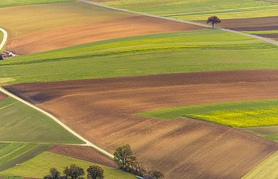 Να δώσει διευκρινήσεις η ΑΑΔΕ για έναρξη και λήξη των ενοικιαστηρίων στα αγροτεμάχια