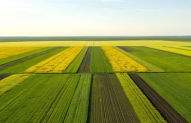 Διευκρινίσεις για την υποβολή υπεύθυνων δηλώσεων για κυριότητα αγροτεμαχίων μέσω ΚΑΕΚ