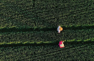 Πώς διαμορφώνεται ο προϋπολογισμός του Ταμείου Γεωργίας και Κτηνοτροφίας το 2026 – η εικόνα της χρονιάς
