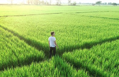 Παραδοχή καθυστέρησης στις αγροτικές πληρωμές – Επτά απαντήσεις προς τους αγρότες από τον Χατζηδάκη
