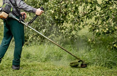 Έρχονται αλλαγές στις ημερομηνίες και τα πρόστιμα με νέα νομοθετική ρύθμιση περί καθαρισμού οικοπέδων