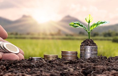 Τι πλήρωσε κάθε μήνα η ΑΑΔΕ από τις αρχές του 2026, τι ανακτήσεις και επιστροφές έγιναν μέσω συμψηφισμών