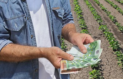 Πως θα καταβληθεί το de minimis μηδικής, πληρωμές αλλιώς κινητοποιήσεις προειδοποιούν οι αγροτοκτηνοτρόφοι του Έβρου