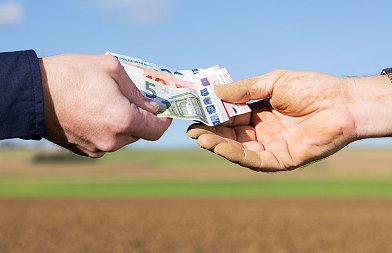 Πόσο είναι το πριμ για Οικολογικό Σχήμα με τα ωφέλιμα αρπακτικά έντομα και ακάρεα και ποιους εχθρούς αντιμετωπίζει