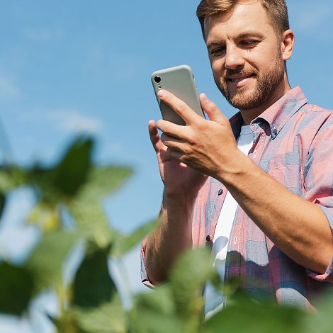 Το 2026 πάνε οι πληρωμές οικολογικών σχημάτων και συνδεδεμένων ενισχύσεων