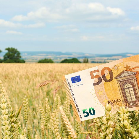 Αγροτικές πληρωμές: Τι καταβάλλεται έως τέλος Απριλίου 2026