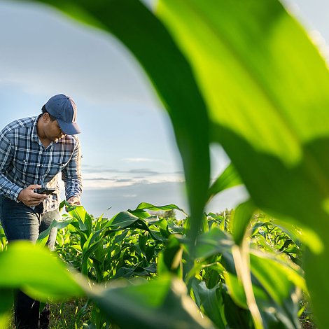 Από 1η Δεκεμβρίου ψηφιακή η έκδοση δελτίου αποστολή, έτοιμη η ΑΑΔΕ, τι να προσέξουν οι αγρότες