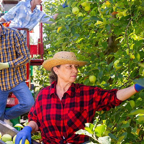 Τι ισχύει για το εργόσημο των εργατών γης και τι θα πρέπει να προσέξουν οι αγρότες