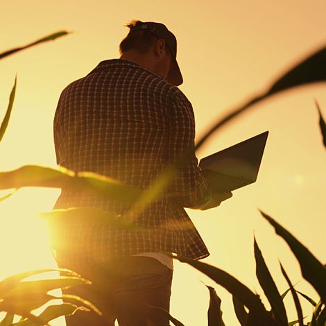 Διορθώσεις στην ΑΑΔΕ για αγροτεμάχια έως 20 στρέμματα που δεν πληρώθηκαν, νομοθετική ρύθμιση για να λυθούν τα ιδιοκτησιακά