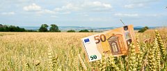 Αντικατάσταση της βασικής με την φθίνουσα εισοδηματική στήριξη με βάση την έκταση, θα συζητήσει το Συμβούλιο Υπουργών της ΕΕ