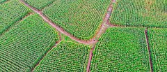 Agrisnap: Αίτημα για επαναλειτουργία της εφαρμογής λόγω μη ολοκλήρωσης των απαραίτητων διορθώσεων