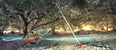 Το ελαιοτριβείο θα μπορεί να εκδίδει το παραστατικό ψηφιακής διακίνησης ελαιοκάρπου για λογαριασμό του παραγωγού