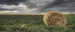 Πότε πληρώνεται το de minimis στην μηδική, τα ποσά θα είναι αφορολόγητα και ακατάσχετα