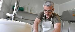 Δυσαρέσκεια της γαλακτοβιομηχανίας για τη μείωση της παραγωγής γάλακτος