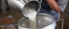 Καθορίστηκαν οι ενισχύσεις ανά τόνο γάλακτος στα μικρά νησιά του Αιγαίου για την παραγωγή τυριών και γιαούρτης