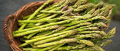 Σπαράγγι: Μειωμένες ποσότητες, καθυστερήσεις και πίεση στο κόστος παραγωγής