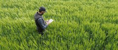 Έρχεται η ψηφιακή εφαρμογή της εκτιμητικής διαδικασίας στο χωράφι από τον ΕΛΓΑ